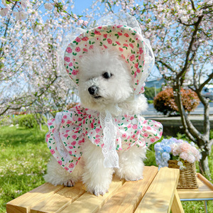Vestido de Verano para Perro con Estampado de Flores y Cuadros, Falda de Moda para Mascotas, Ropa para Mascotas - Product Image 6