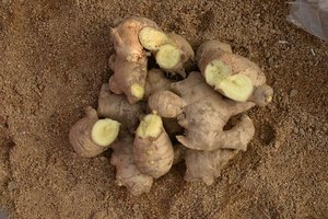 Bán cũng loại mới phát hiện của dư lượng thuốc trừ sâu miễn phí gừng nén nóng gừng tự nhiên - Product Image 2