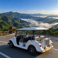 Voiture électrique de luxe vintage pour passagers avec phares LED et tableau de bord moderne pour les services de tourisme quotidien dans les centres de villégiature et parcs