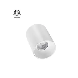 Daytonled 마스터 D IP65 시리즈 펜던트 led 표면 마운트 통 led 외부 조명