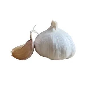 Chinese Garlic Wholesaler - Trusted Source for Fresh Garlic in Bulk Quantities