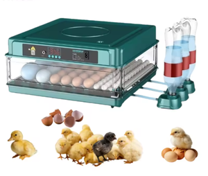 Incubadora de Huevos Totalmente Automática, Gran Capacidad de 50 a 50,000 Huevos, Apta para Pollos, Patos, Codornices y Loros - Product Image 3