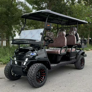 Voiture électrique de tourisme 6 places pour le transport de touristes dans les sites touristiques - Product Image 5