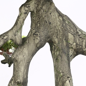 Cây Cảnh Arborvitae Bằng Gỗ Tuyết Tùng Thuja Cây Bách Nhân Tạo Trang Trí Nhà Cửa - Product Image 6