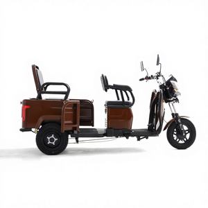 Tricycle électrique silencieux pour événements professionnels, <span class=keywords><strong>transport</strong></span>, livraison de courrier et de <span class=keywords><strong>colis</strong></span>, accessoires - Product Image 1