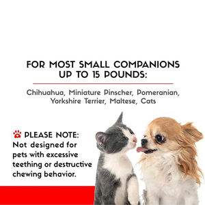 2024 tasarımcı yeni lüks moda yeşil peluş kurbağa prens köpek yatağı karyolası gri taşınabilir çift yüzlü pet yatak için açık - Product Image 6