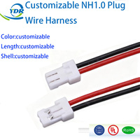 Harness Kabel Terminal Konektor Custom NH1.0 2-16P untuk Peralatan Elektronik ISO9001 untuk Konduktor Tembaga Berlapis Timah