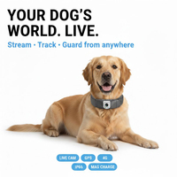 Collier intelligent pour animaux de compagnie C10 Gen-2 avec mini caméra POV, visualisation en temps réel, suivi GPS pour chiens de taille moyenne à grande, surveillance en extérieur