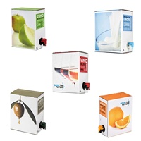 Emballage personnalisé pour vin et cocktails 3L, sac BIB dans une boîte pour cocktails, pochette à vin en aluminium avec bec verseur, sac BIB pour boisson au café froid