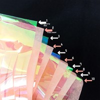5er-Pack Modell Neon-Film Bunte Große Papierquasten Schillernde Blumen Bänder Hochzeitsraum-Dekoration Party-Dekorationszubehör