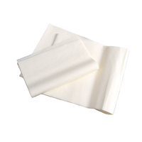 Papier magique flash 50*20cm, 10 feuilles, accessoire professionnel pour magicien, tours de magie de scène, fête adulte
