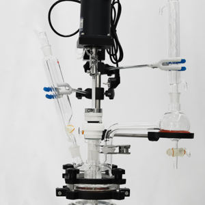 Reactor de lote de vidrio de química con camisa de laboratorio pequeño Lab1st 1l - Product Image 2