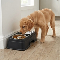 Bols surélevés pour chiens en plastique robuste avec double bols en acier inoxydable, option de distribution lente pour animaux de compagnie