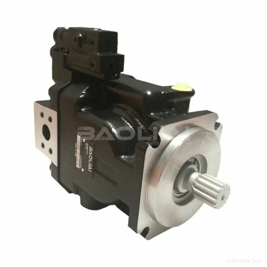 Sauer Frl074 плунжерный насос FR-L-074B-BS-31-30-NN-N-3-S1V2-A1N-NNN-NNN-NNN гидравлического насоса серии 45