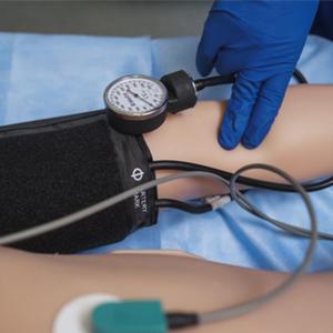 Mannequin de simulation pour adultes Leonardo pour ponction guidée par échographie, cathétérisme veineux central et artériel, et ponction lombaire - Product Image 5