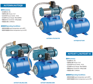 Pompe à eau domestique de surface JET automatique centrifuge à impulsion unique, 0,8 CV, en acier inoxydable 304, prix promotionnel - Product Image 2