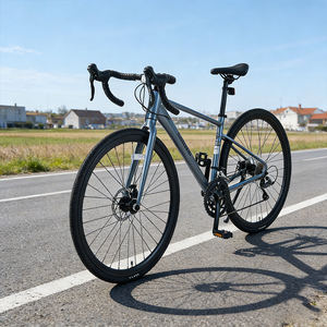 Amortisseur avant de vélo de gravier en alliage d'aluminium, haute rigidité, fabrication de précision, 24 vitesses, roulement robuste pour les trajets urbains - Product Image 1