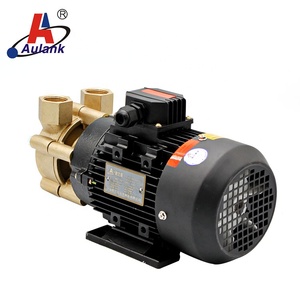 200 Degree High Temperature Oil Pump - Product Image 3