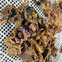 Máquina de Secado Eléctrica para Secar Alimento en Pellets de Gusano, Insectos, Estiércol de Vaca, Cáscara de Arroz, Alimento para Perros, Máquina Secadora de Carne