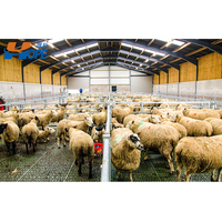 Poulet Volaille Ventilateur Porc Ferme Structure en acier Ferme Bâtiment préfabriqué Abri pour chèvres Maisons commerciales en acier Hangar à vendre