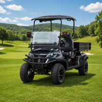 Voiturette de golf électrique LEIBIN, buggy tout-terrain, boîte de chargement, 4 roues motrices, batterie lithium 72V, 3,5-7,5KW, 2 places, freins à disque avant, 30-50Km/h, 90km, acier