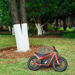 Bicicleta de Montaña de Aluminio de Una Velocidad para Niños de 3 a 12 Años, Precio de Fábrica al por Mayor, Scooter para Niños - Product Image 4