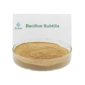 Bio-organic Microbial Fertilizer Agent Bacillus Subtilis 20 Billion