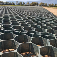Grille résistante à la corrosion de pavés de protection d'herbe de HDPE pour le système de renfort au sol