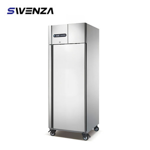 Congelador y Refrigerador Vertical Comercial Swenza de Acero Inoxidable para Supermercados, Restaurantes y Cocinas DMBG001 French Doo - Product Image 1