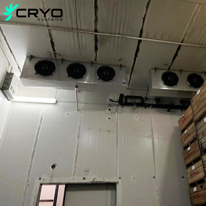 ห้องแช่แข็งระบบ CRYO สำหรับผู้ส่งออกอะโวคาโด พร้อมเครื่องยนต์ ปั๊ม ประหยัดพลังงาน รักษาความสดใหม่ สำหรับการขนส่งระยะไกล - Product Image 5