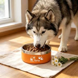 Comederos de Acero Inoxidable para Perros y Gatos con Diseño de Adhesivos, Base Antideslizante, Fáciles de Limpiar y Portátiles - Product Image 3