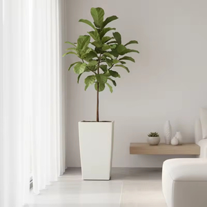 Vasi e Fioriere in Plastica Stile Antico con Texture in Gesso Nascosta, Adatti per Uso Interno, Vendita Diretta dalla Fabbrica - Product Image 5