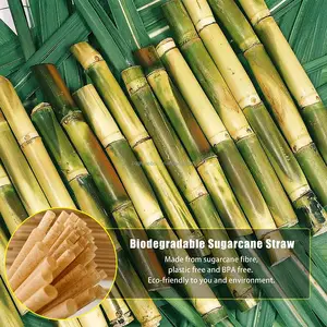 Degradable Straw Wholesale Biodegradable Compostable Degradable Fiber Non-plastic 8x200 Mm Sugarcane Bagasse Drinking Straws