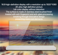 Pantallas OLED Transparentes de 55 Pulgadas de Alto Brillo y Full HD, Personalizadas por Fábrica China, 120Hz, Táctil Capacitiva Delgada, 1 Año de Garantía para Centros Comerciales