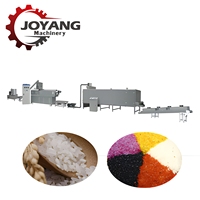 Ligne de production industrielle clé en main, automatique et personnalisable pour le riz nutritionnel et le riz fortifié par extrusion, destinée aux usines alimentaires