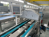 Máquina para Pasteles de Alta Capacidad, Máquina Automática para Batir Mousse, Leche, Mantequilla y Pasteles con Aireación Continua, Sistema de Aireación para Chocolate
