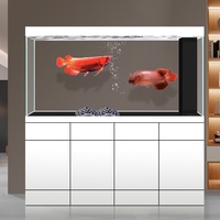 High-end Stainless Steel Arowana Tank Modern Patio Living Large Aquarium 120L Ultra-white Glass Screen Partition Bottom Box