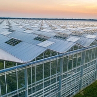 Serres agricoles commerciales multi-chapelles en verre avec système hydroponique pour la production de laitues, de fraises et de fleurs