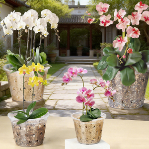 <span class=keywords><strong>Pot</strong></span> à orchidées en plastique transparent en gros, écologique, durable, respirant à 360 degrés, contrôle des racines, <span class=keywords><strong>colonne</strong></span> d'air, jardinage, pots à fleurs pour la maison - Product Image 3