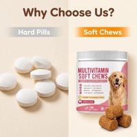 Compléments multivitaminés pour chiens OEM, comprimés à mâcher pour renforcer le système immunitaire, avec glucosamine, oméga-3, probiotiques, pour la santé des articulations, de la peau, du pelage et de l'intestin