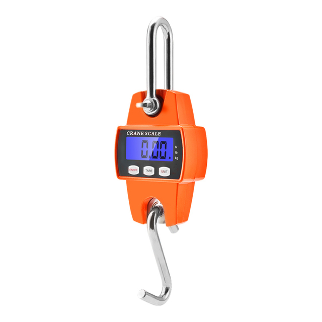 Beichen 100kg Stainless Steel Wireless Crane Scale Digital Hanging Scale for Industrial Use Electronic LCD Display