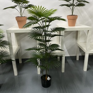 Palmo artificiale di plastica ad alta simulazione di 1.5m per la decorazione del negozio dell'ufficio del giardino di casa - Product Image 2