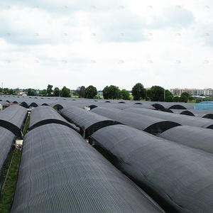 Nấm phát triển bên Hệ thống thông gió ánh sáng thiếu thốn nhà kính đen nhựa phim nông nghiệp nấm nhà kính - Product Image 5