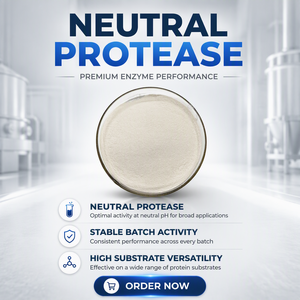 Proteasa Neutra, Enzima Proteolítica, Enzima de Hidrólisis de Proteínas, Preparación para la Fabricación Industrial - Product Image 1
