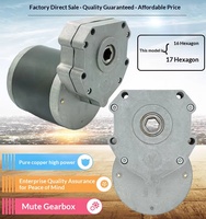 Motor para Cortacésped de 4 Ruedas con Tracción en las 4 Ruedas, de CC, con Imán Permanente Cepillado, Alto Torque, Eléctrico, con Engranajes, 24V 12V 48V 350W 600W 800W, IP65, 19.1Nm