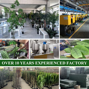 <span class=keywords><strong>Planta</strong></span> Artificial <span class=keywords><strong>de</strong></span> Alocasia Tropical para Interiores/Exteriores, Hoja <span class=keywords><strong>de</strong></span> Alocasia Sarian Tipo <span class=keywords><strong>Oreja</strong></span> <span class=keywords><strong>de</strong></span> <span class=keywords><strong>Elefante</strong></span>, Plástico Similar a Palma/Olivo - Product Image 6