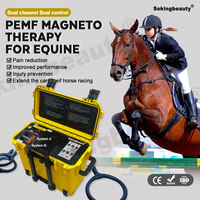Appareil PEMF équin haute intensité pour la thérapie équine, équipement de magnétothérapie portable, fabrication directe OEM ODM