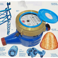 Compteur d'eau SRJ en fonte avec anneau en laiton, multi-jets DN15-250, débit R100 personnalisable, protection numérique IP65, OEM, garantie 2 ans