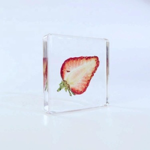 Reçine sanat özelleştirilmiş kuru meyveler reçine çilek gömme numune böcek/bitki örnekleri - Product Image 3