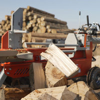 Machine à fendre le bois électrique hydraulique Vortek WP-283 28T 2,2 kW personnalisée avec moteur, facile à utiliser, outil domestique